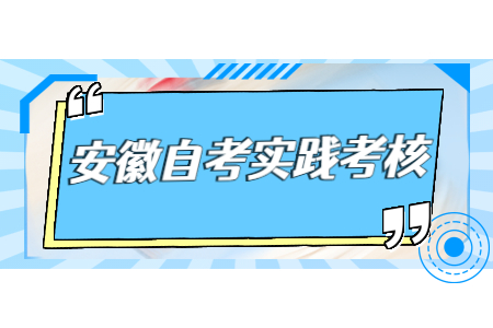 安徽省自考实践考核