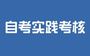 2026年安徽自考实践考核是什么?